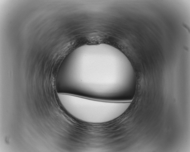 X0000103310081200808291202