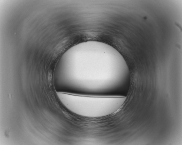 X0000103310082200808291202