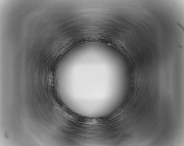 X0000103310083200808291202