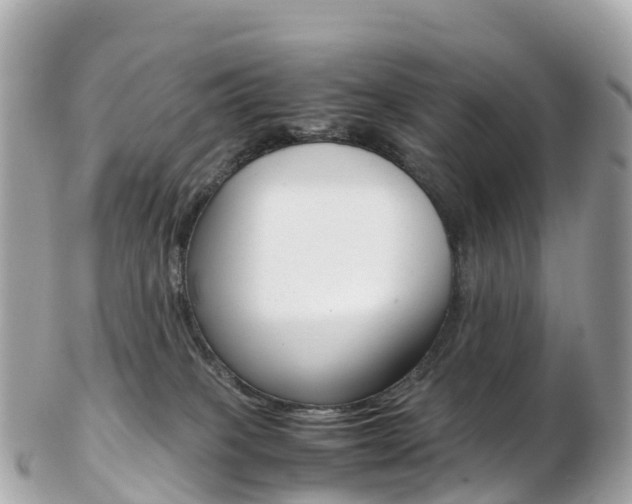 X0000103310085200808291202