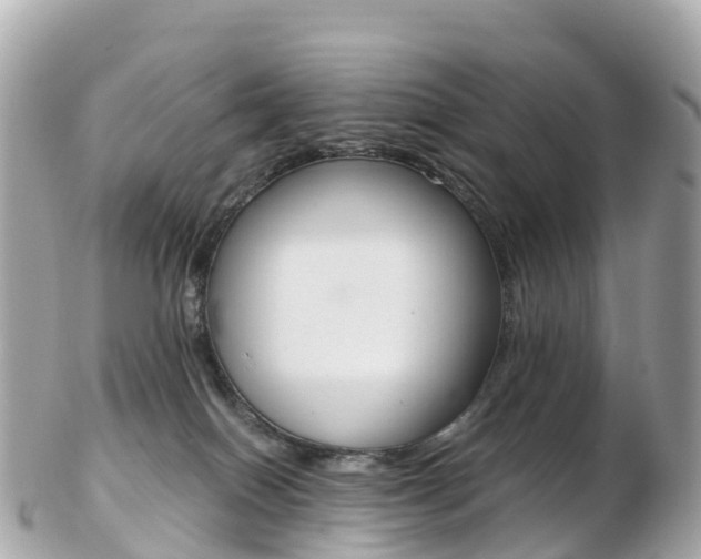 X0000103310086200808291202