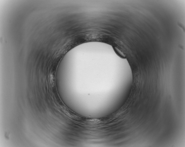 X0000103310087200808291202
