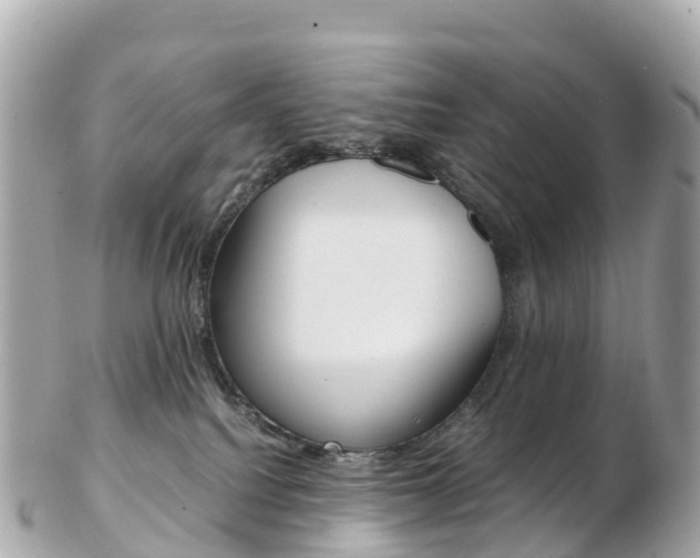 X0000103310088200808291202