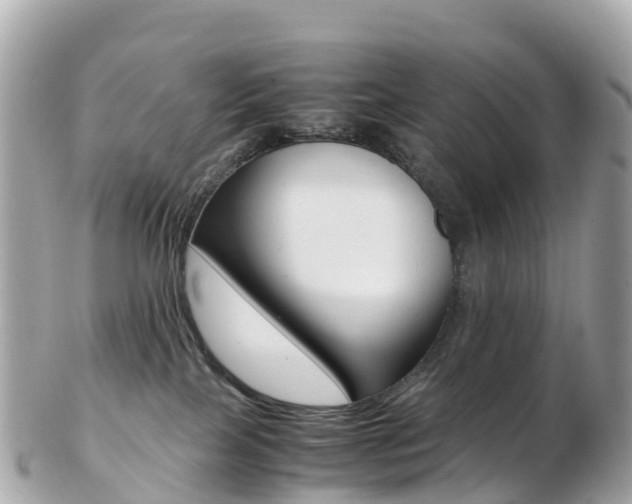 X0000103310089200808291202