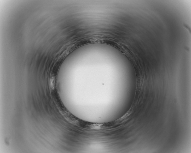 X0000103310090200808291202