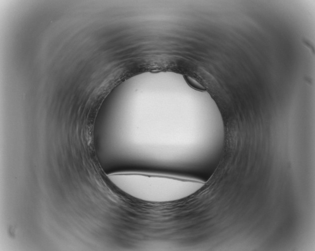 X0000103310091200808291202