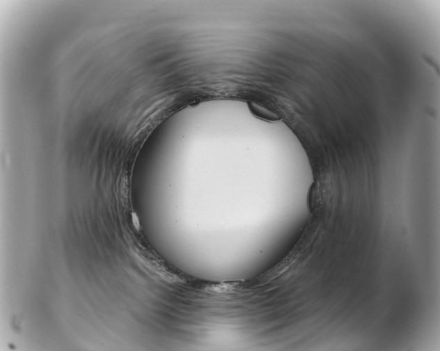 X0000103310092200808291202