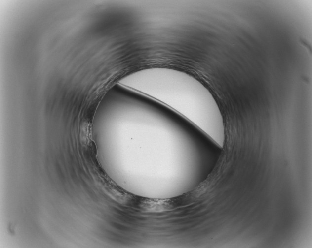 X0000103310093200808291202