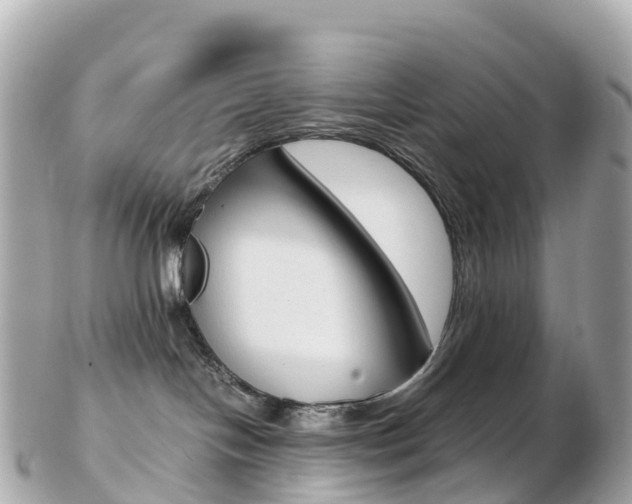 X0000103310094200808291202