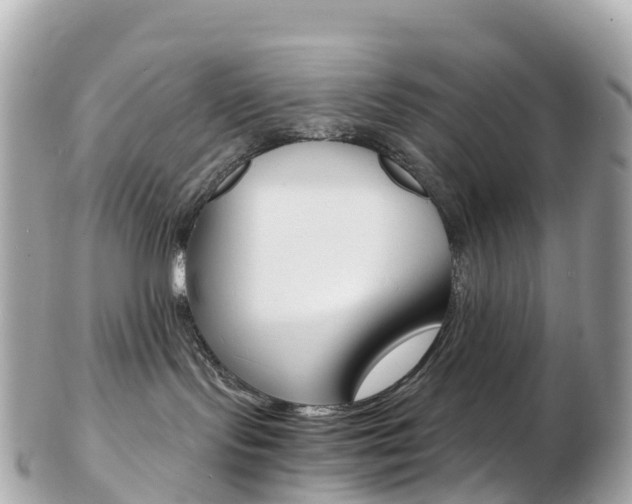 X0000103310095200808291202