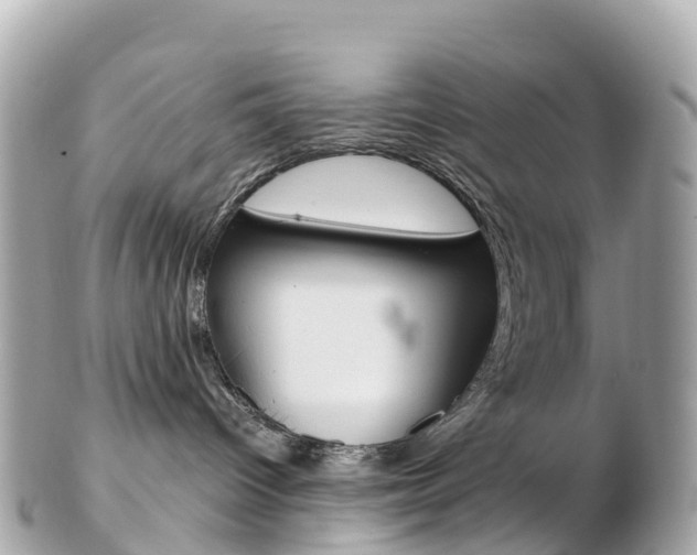 X0000103310096200808291202