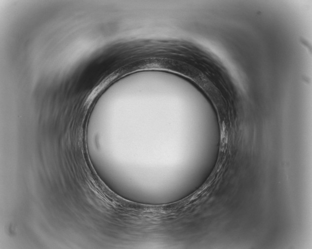 X0000103310099200808291201