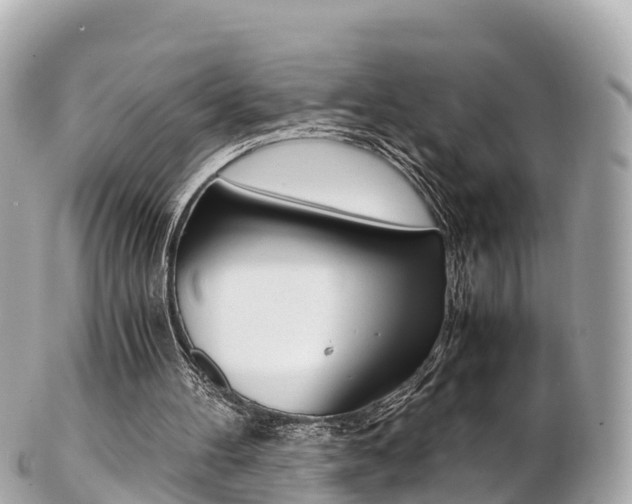 X0000103310100200808291201