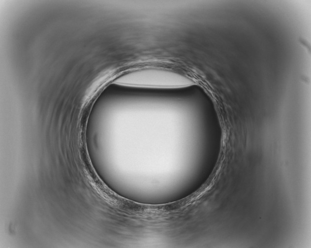 X0000103310101200808291201