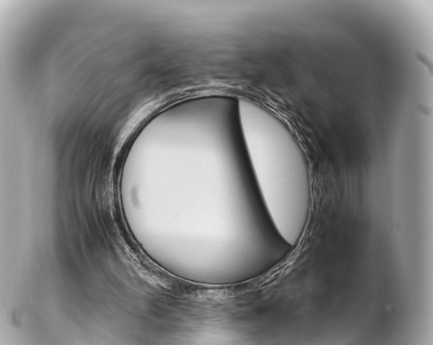 X0000103310102200808291201