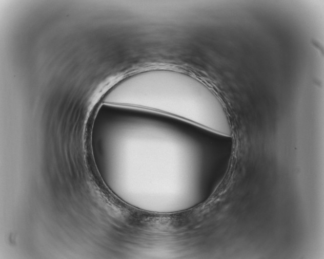 X0000103310104200808291201