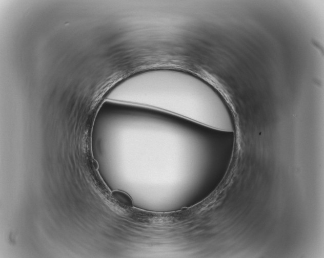 X0000103310105200808291201