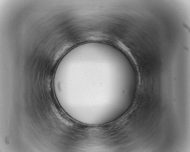 X0000103310106200808291201