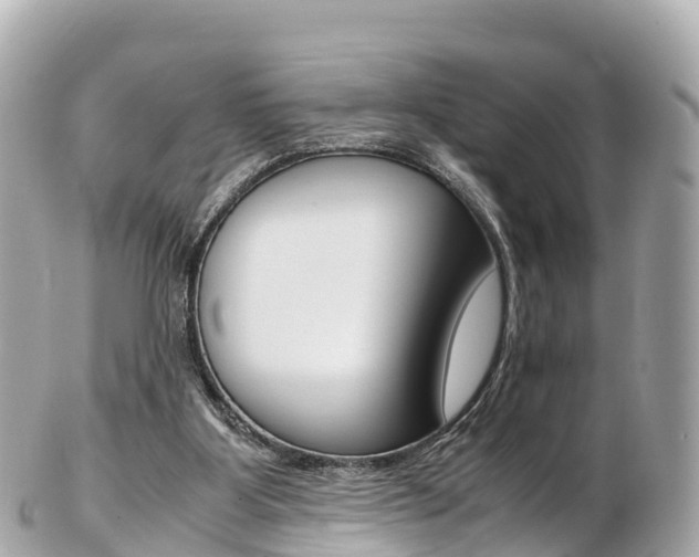 X0000103310107200808291201