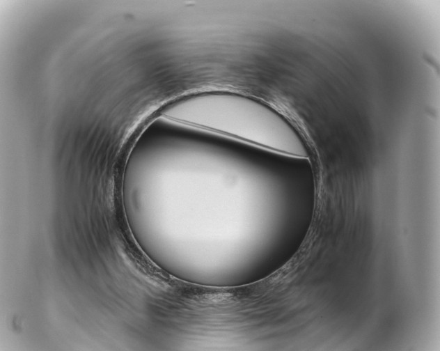X0000103310108200808291201