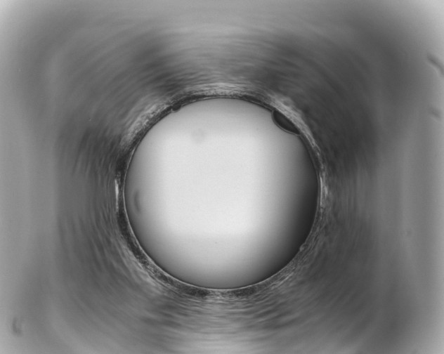 X0000103310109200808291201