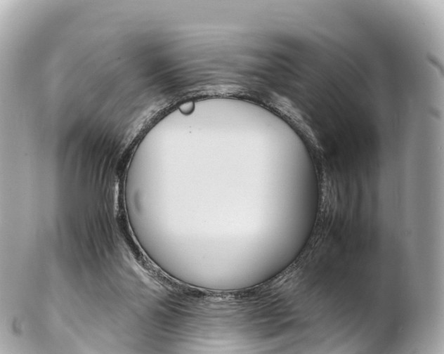 X0000103310110200808291201