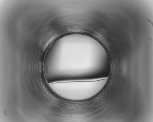 X0000103310111200808291201