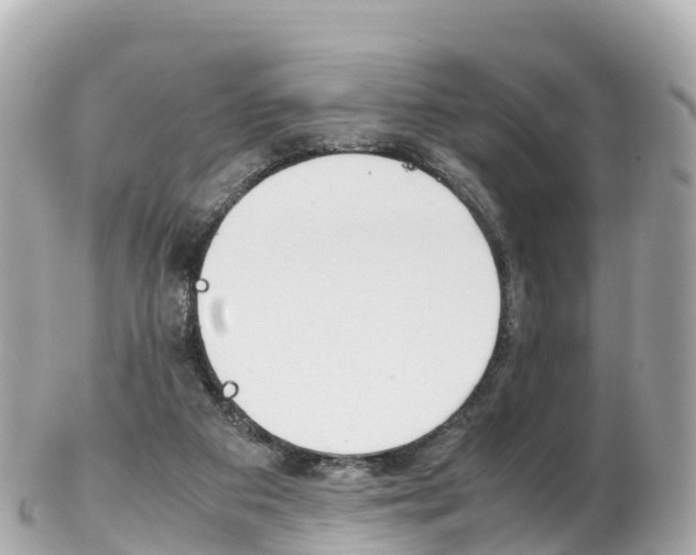 X0000103310113200808291201