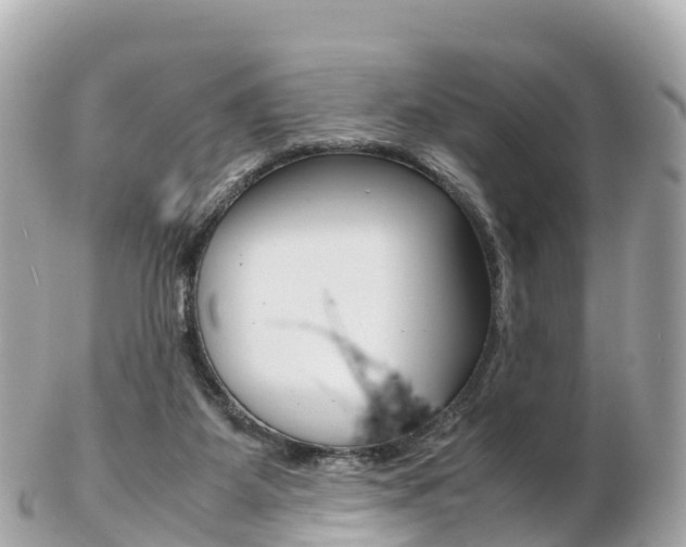 X0000103310115200808291201