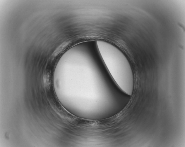 X0000103310116200808291201