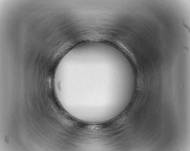 X0000103310117200808291201