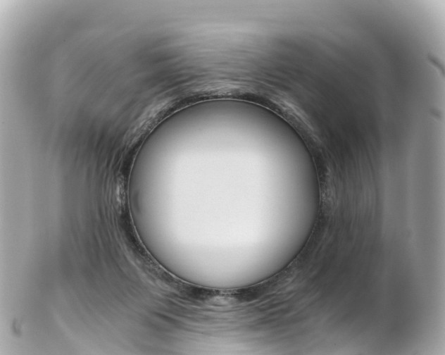 X0000103310119200808291201
