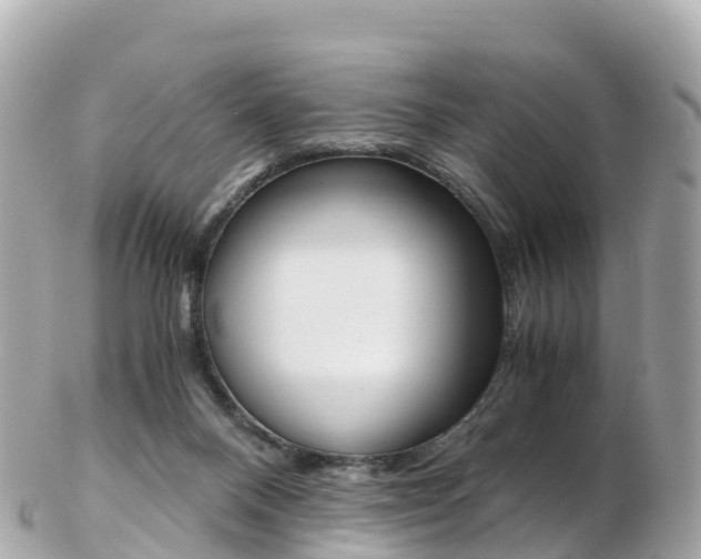 X0000103310120200808291201