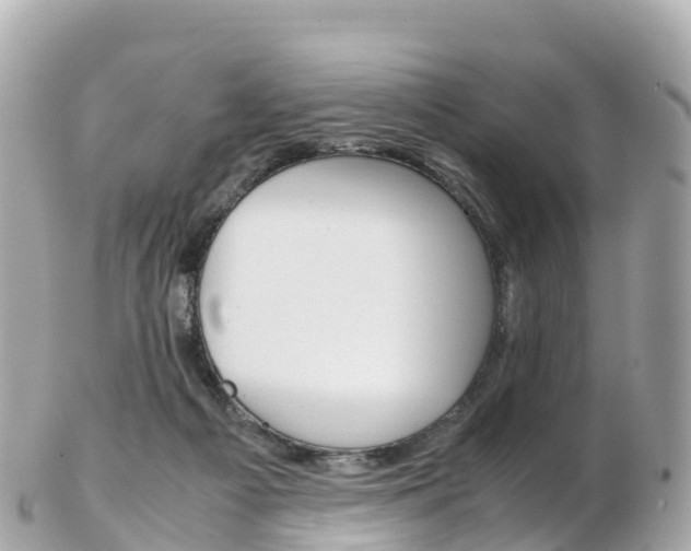 X0000103310121200808291201