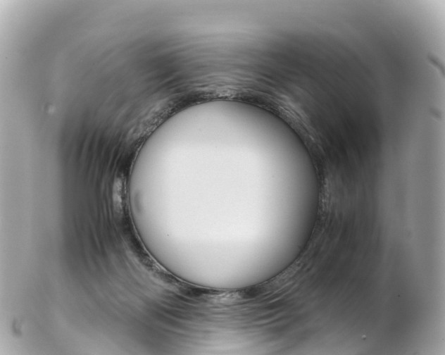X0000103310122200808291201