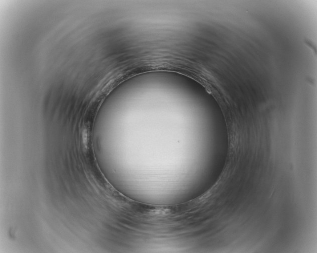 X0000103310124200808291201
