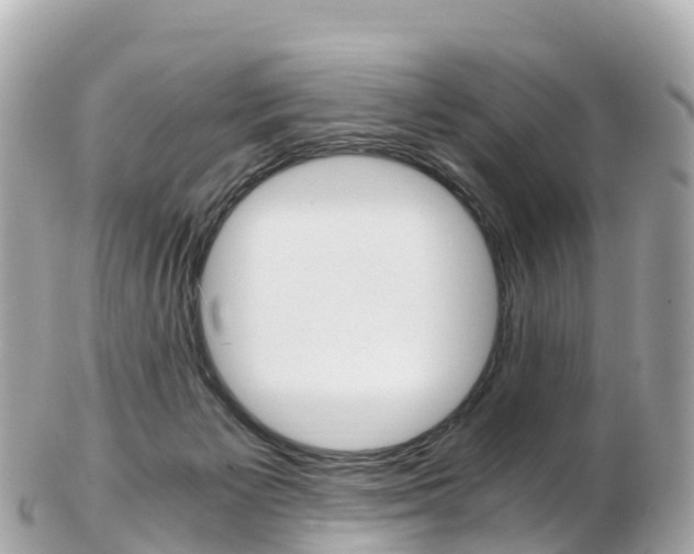 X0000103310125200808291201
