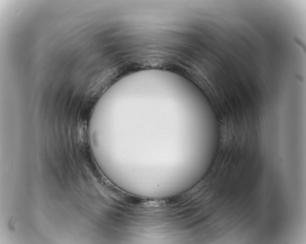 X0000103310126200808291201