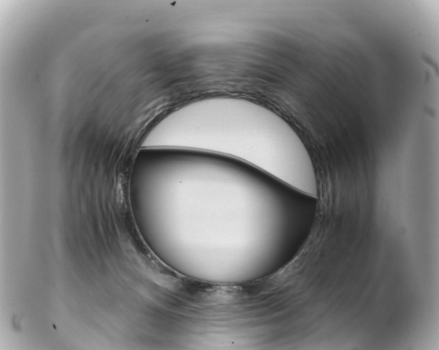 X0000103310128200808291201