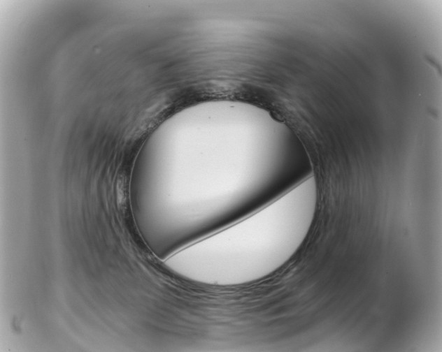 X0000103310131200808291201