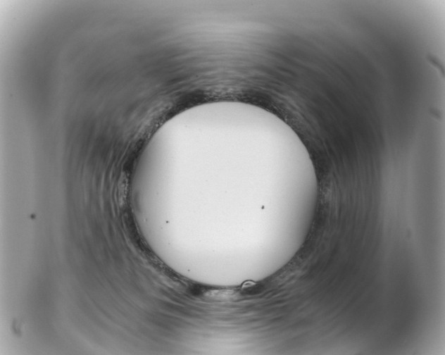 X0000103310133200808291201