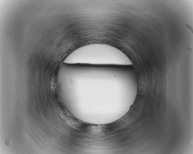 X0000103310134200808291201