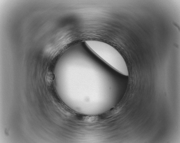 X0000103310135200808291201