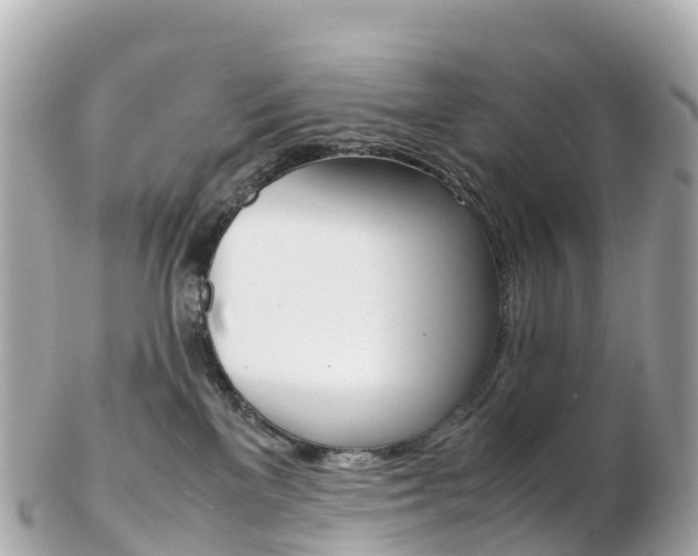 X0000103310137200808291201
