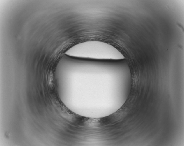 X0000103310138200808291201