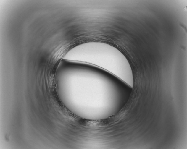 X0000103310139200808291201