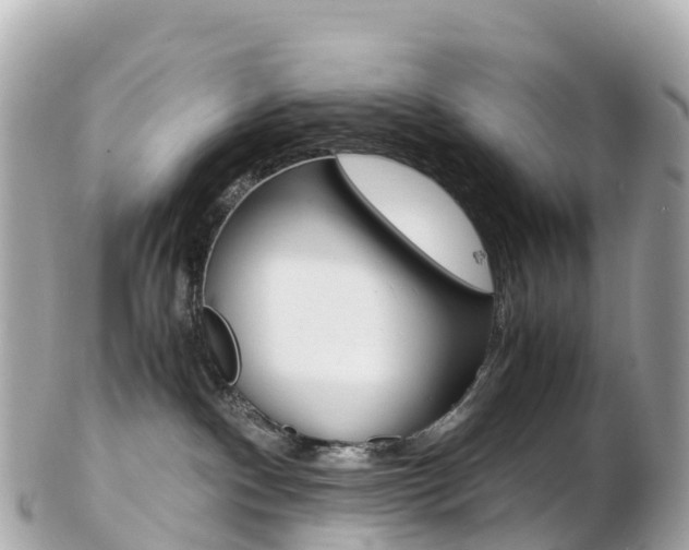X0000103310140200808291201