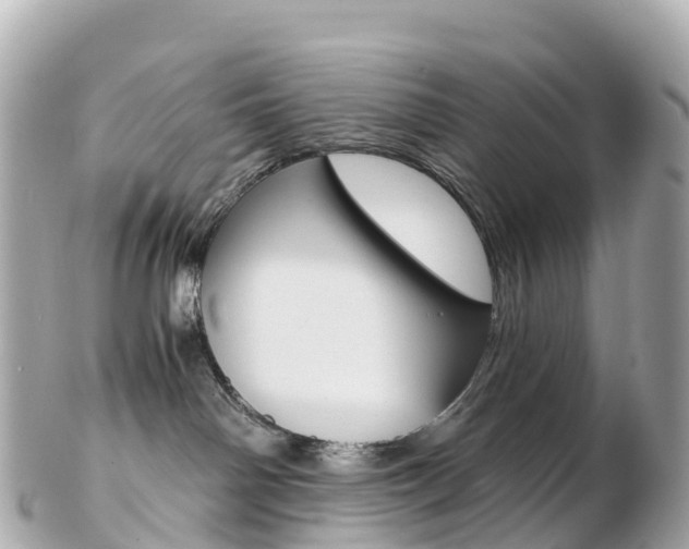 X0000103310142200808291201