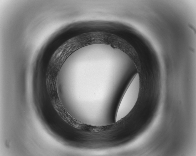 X0000103310143200808291201