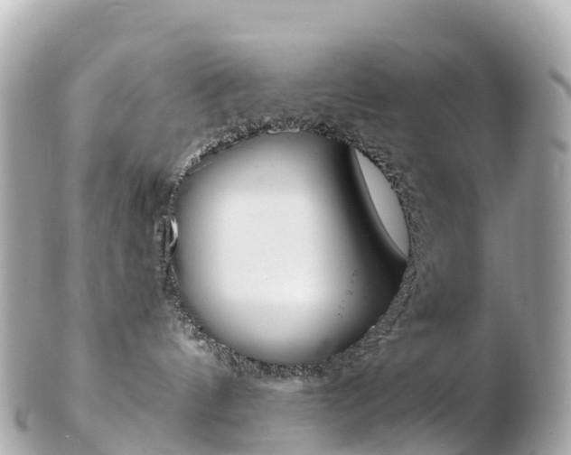 X0000103310144200808291201